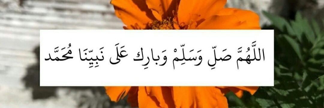 Javid Fedayee banner