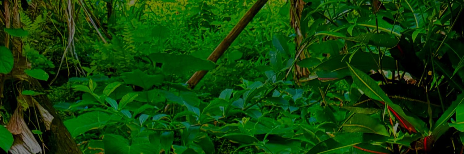 KaiyaMilan's profile banner image