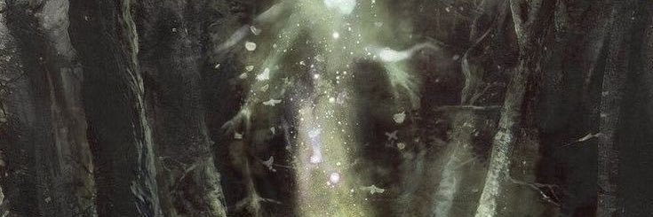 monstroelisasue’s zamboni 🍉 banner