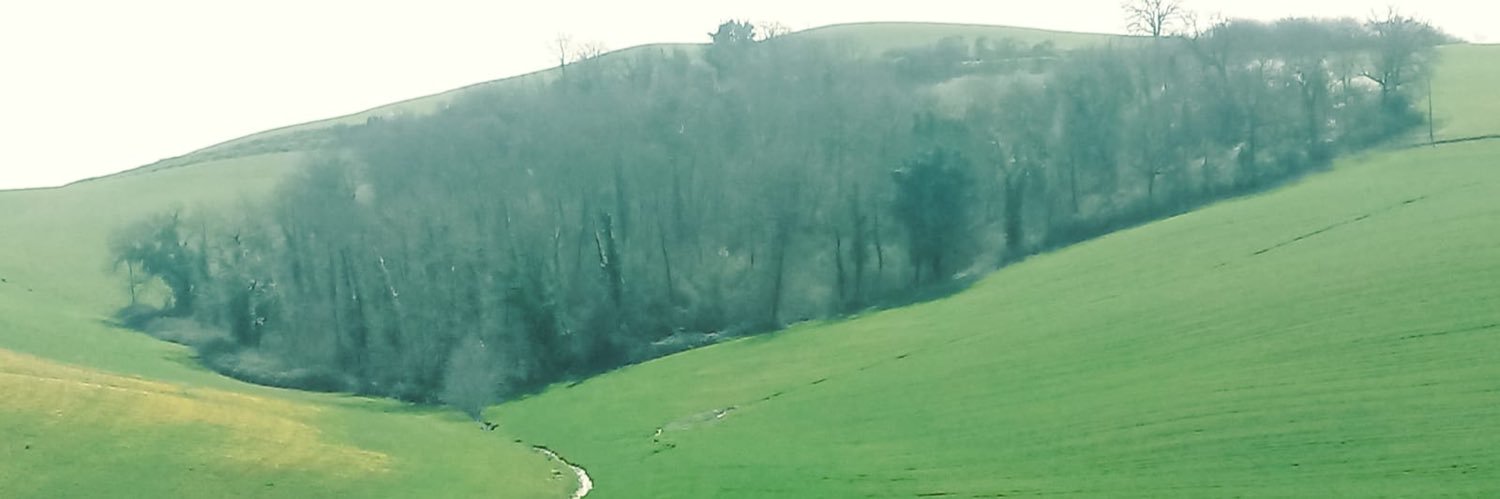 mamenstudios's profile banner image
