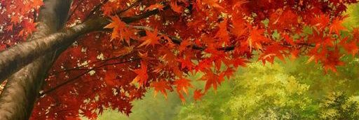 KiwixssK's profile banner image