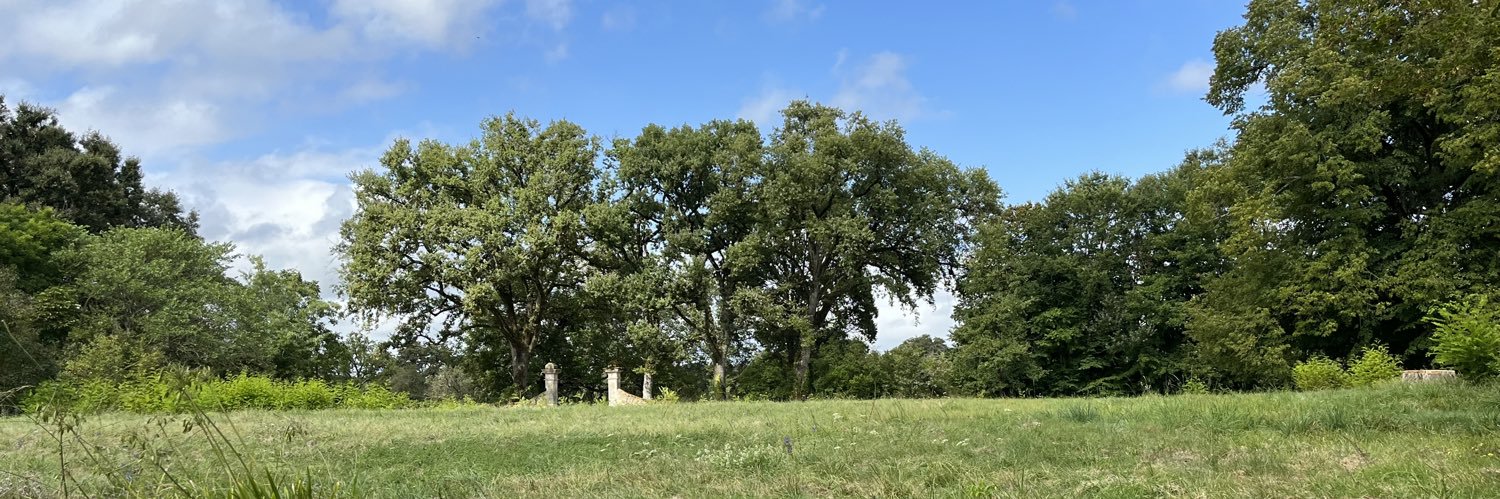 M. ✝️🌞🏰🌊🌿🦚 banner