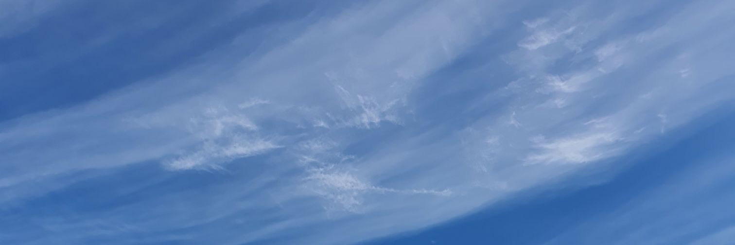 Marc banner