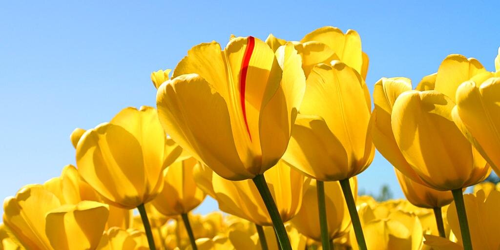 PaulaViera7's profile banner image