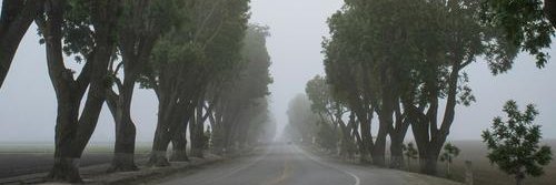 Miyasaki Kumiko | 22149.bnb❤️ Memecoin banner