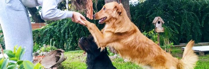 delfi_saluzzio's profile banner image