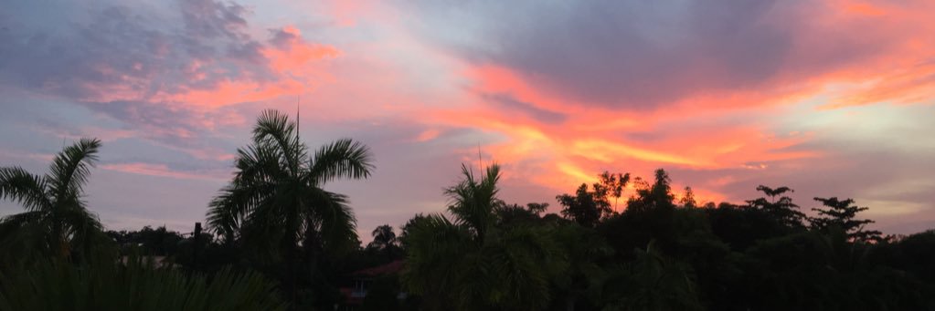 mlnbrtx's profile banner image
