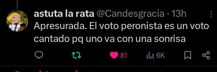 Boar (n1 Kiara fan) banner