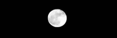 _ms_rwn's profile banner image