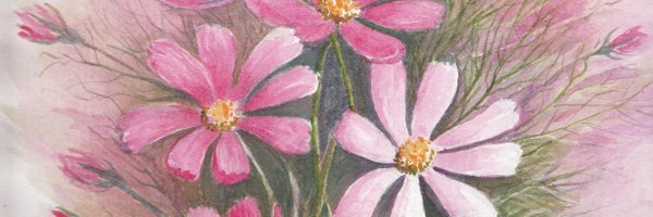 scividence Profile Banner