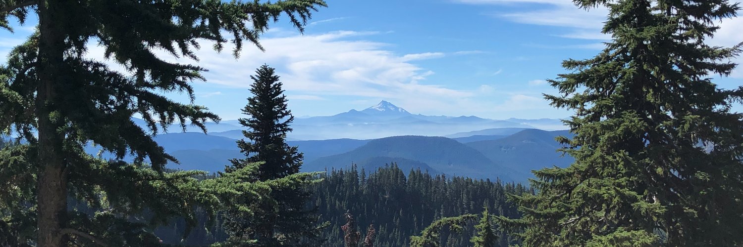 ACWhitebirch's profile banner image