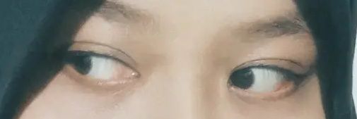 Zerrrf 🐾 banner
