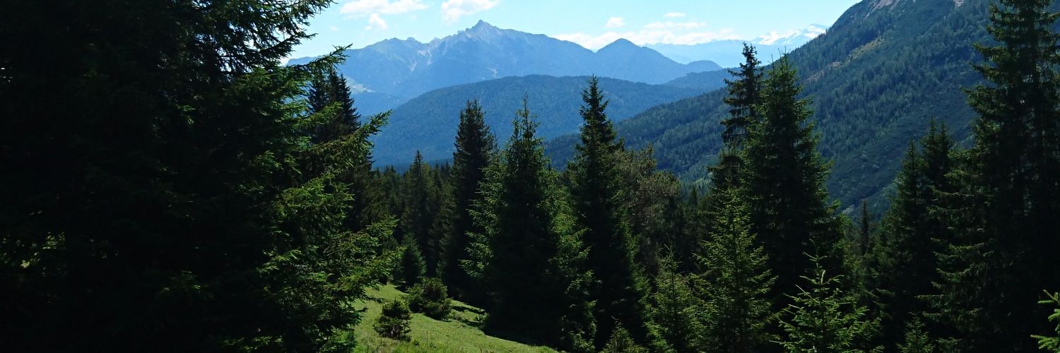 nicolasblackb's profile banner image