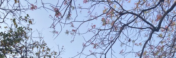 nothingneuw Profile Banner