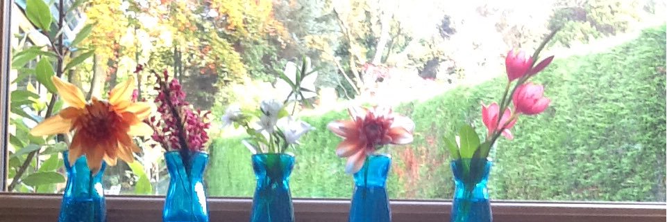 Wendy Jackson banner