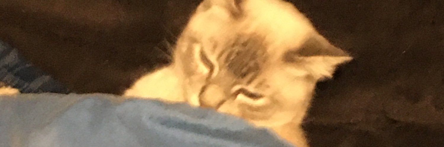 oreiiax's profile banner image