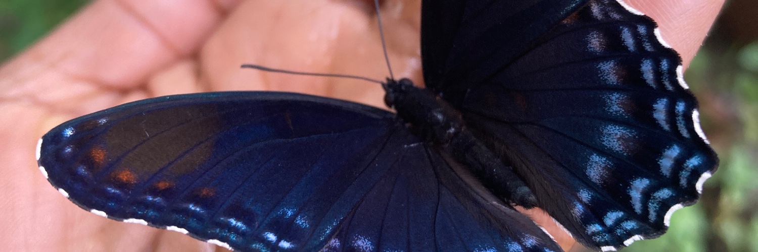 CamilaHepplin's profile banner image