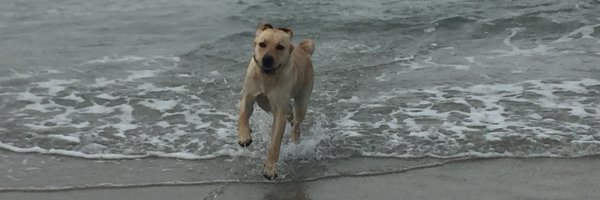 MsKateMcD Profile Banner