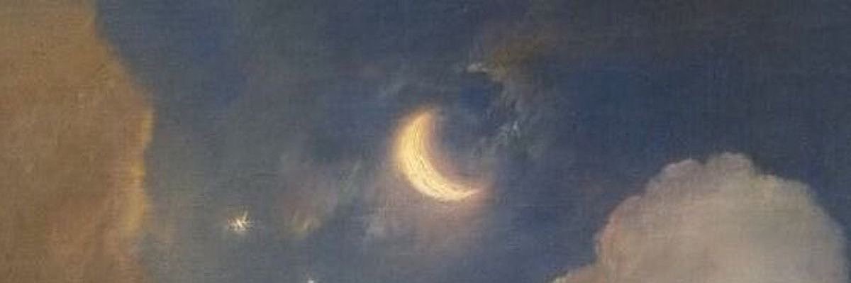 𝗇𝗂𝖺 🐦‍⬛🌙 banner