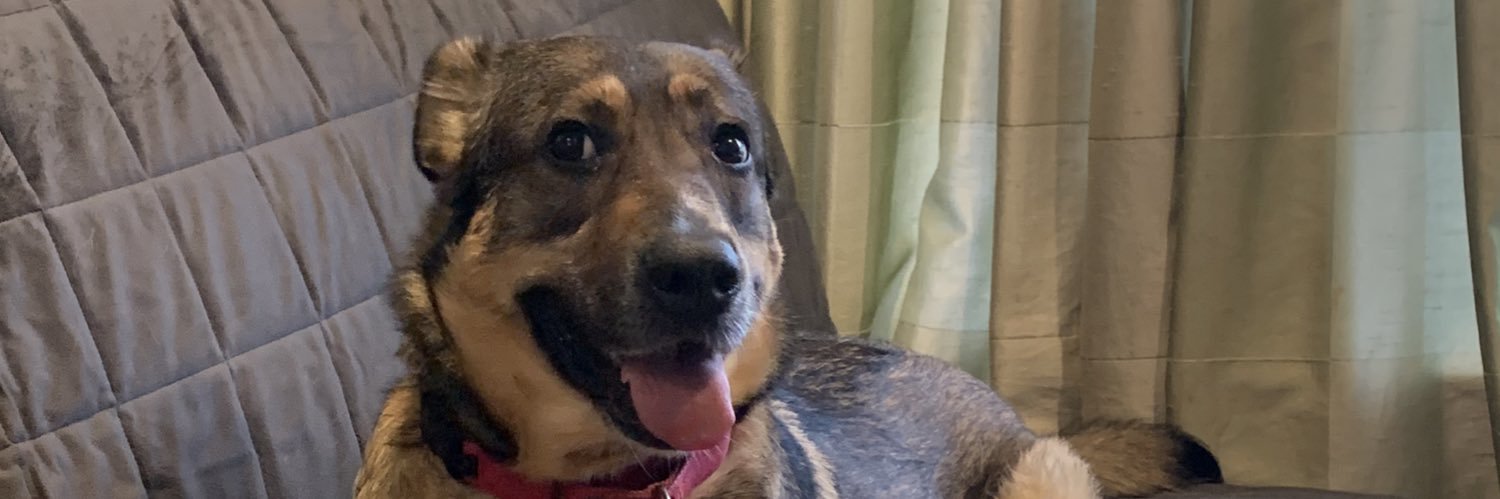 Jeff The Dawg Healy banner