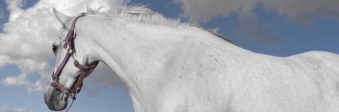 ___Deem1's profile banner image