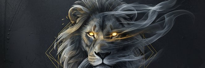 drwalidazmy's profile banner image