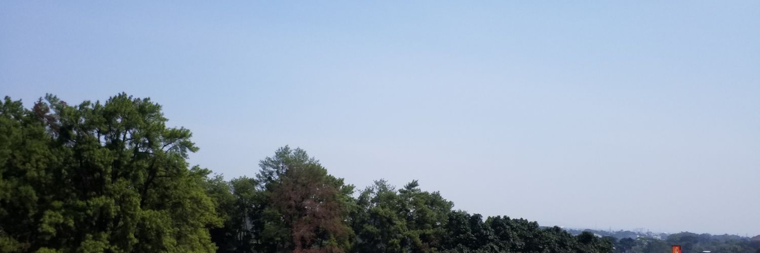 ariempra's profile banner image