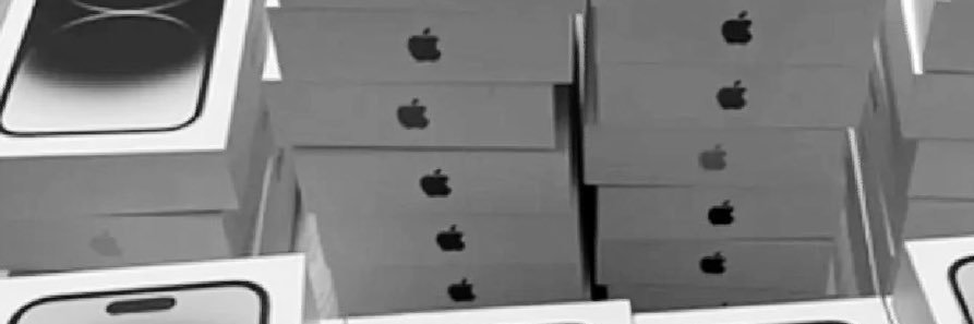 シャンプーちゃん👺 banner