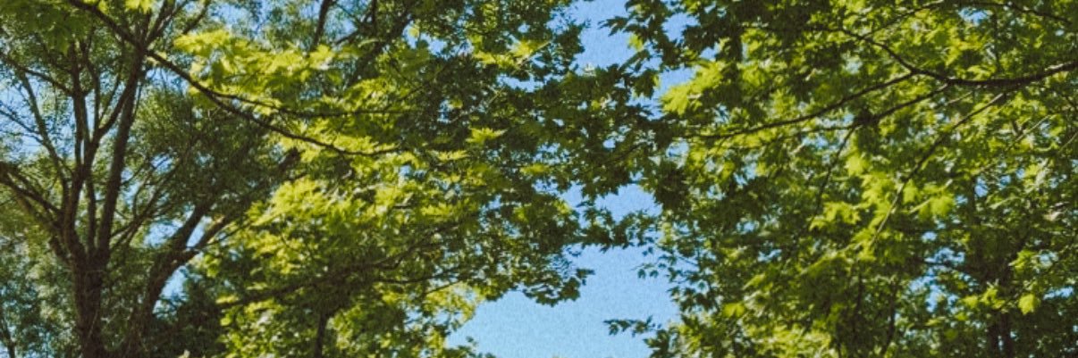 m_altntprk's profile banner image