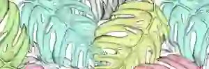 JoeSalaverry's profile banner image