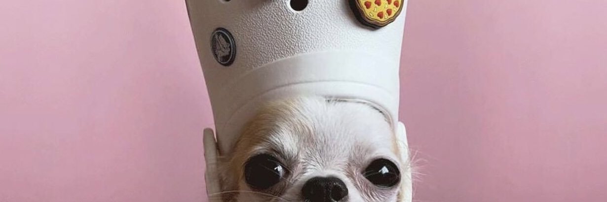 LilKidder2's profile banner image