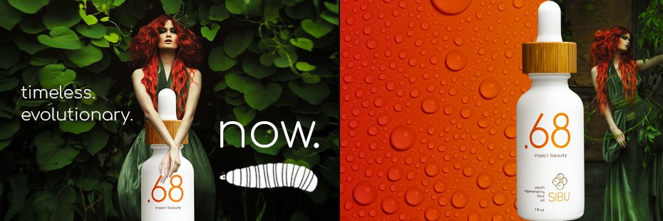 Point68 Insect Beauty banner