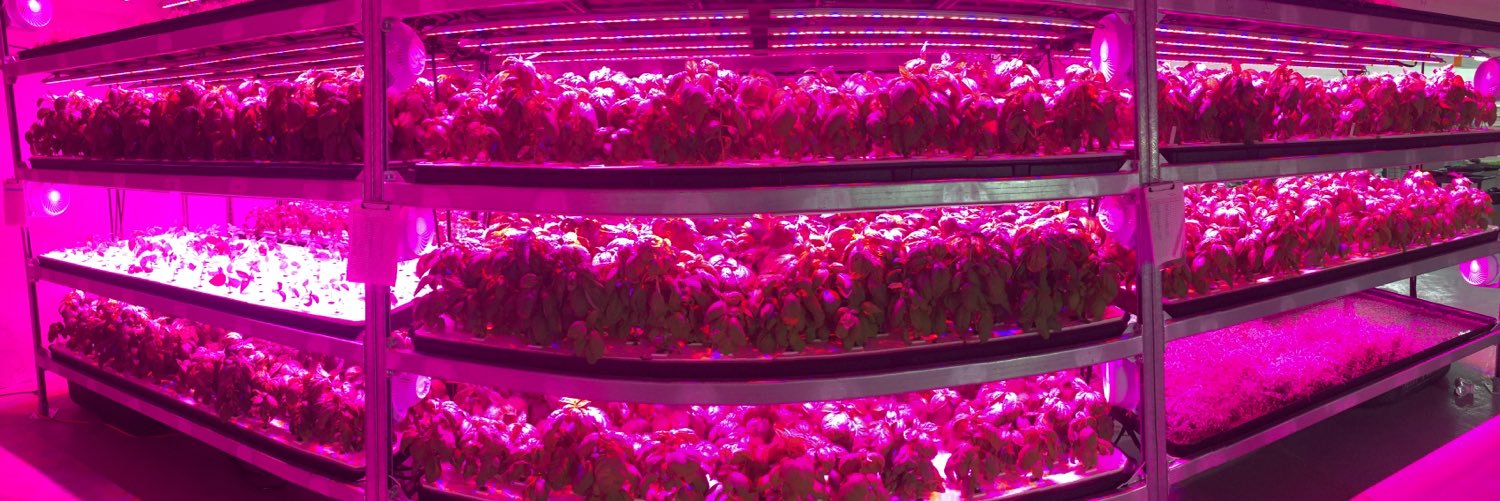 ErnessiFarms's profile banner image