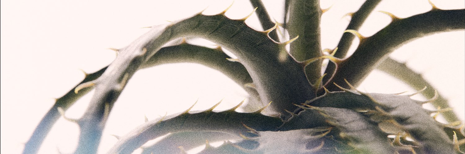 paaa_ken's profile banner image