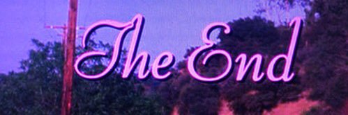 Columba Diaz  Karam banner