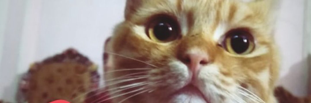 A_Marwan97's profile banner image