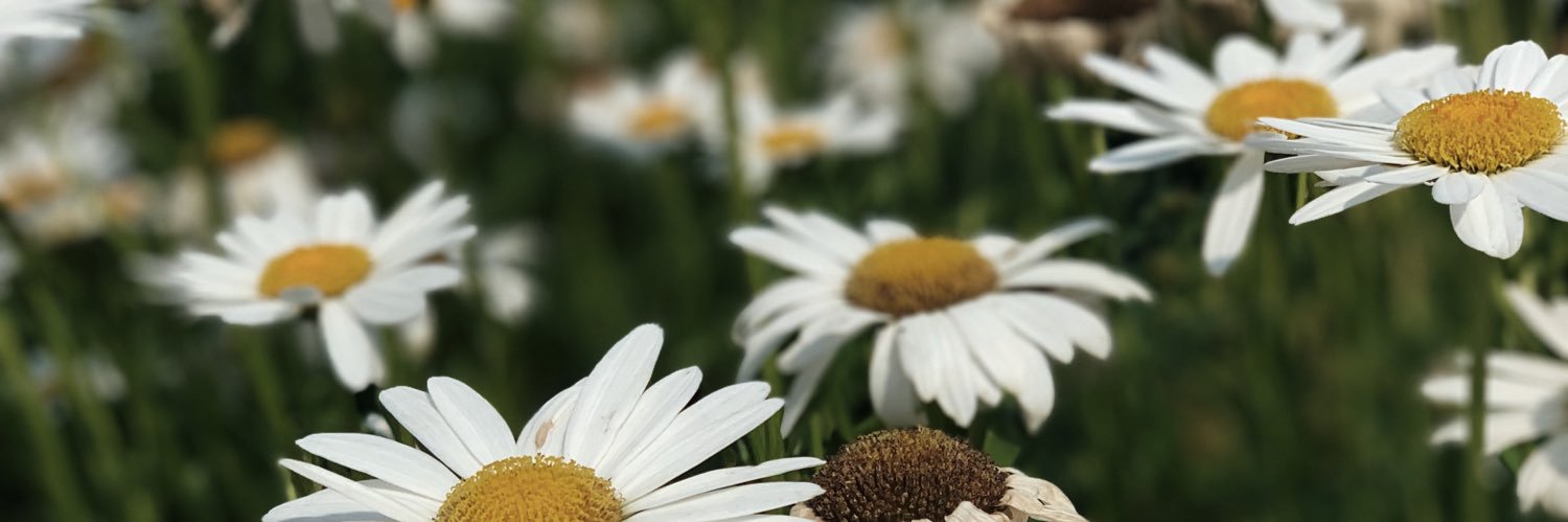 keelyshaye2020's profile banner image