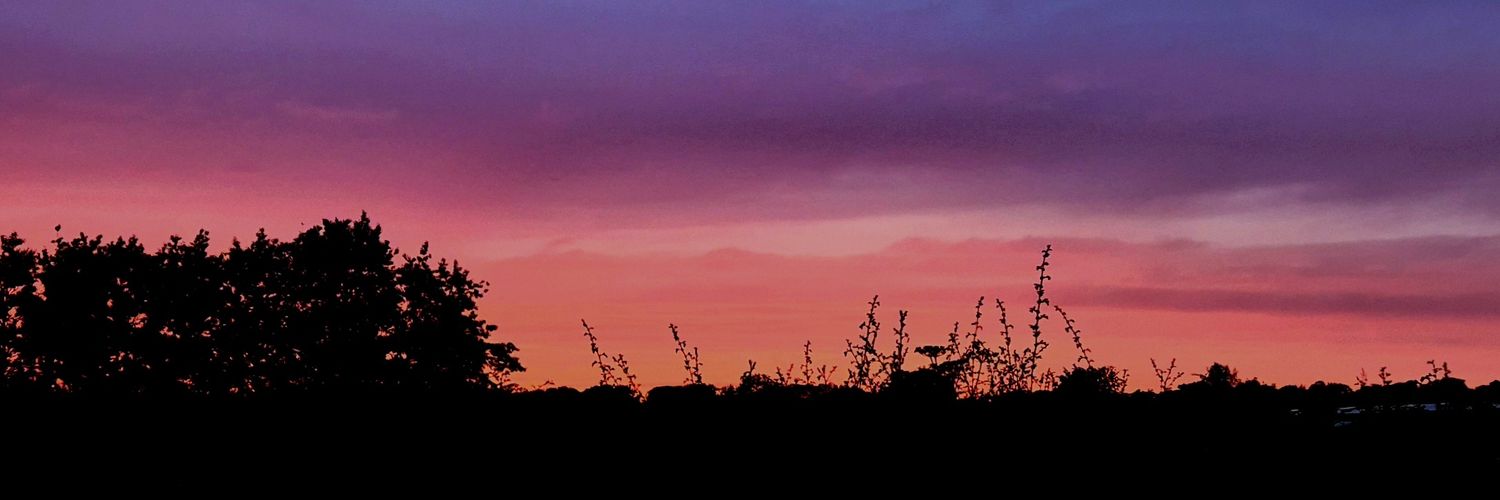 LivSharman_'s profile banner image