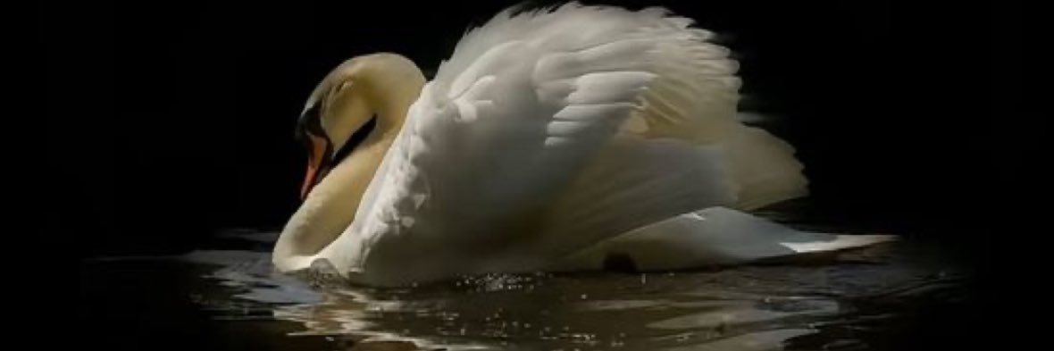 2 banner