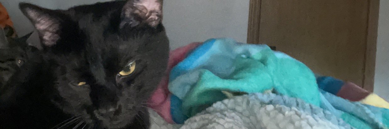 maditownsend22's profile banner image