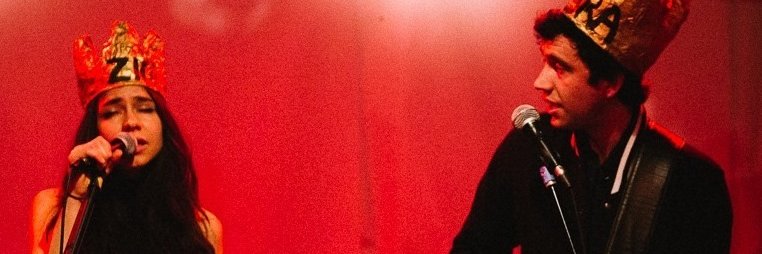 Zigtebra banner
