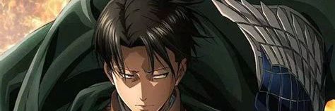 capt levi banner