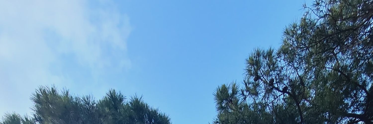theneo32's profile banner image
