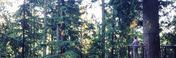 JasonReynolds Profile Banner