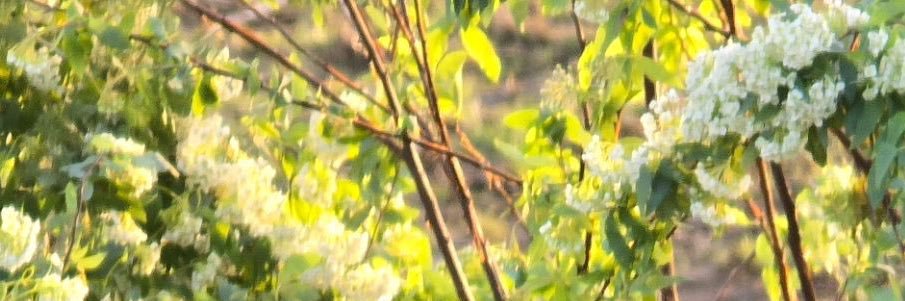 _bamgyu_'s profile banner image
