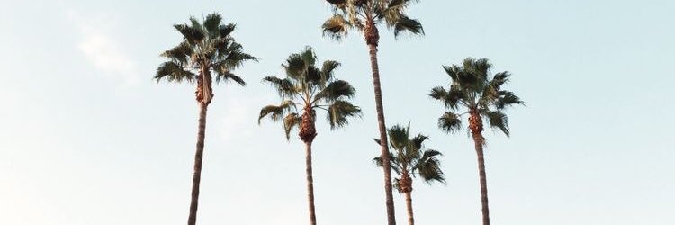 princessphi12's profile banner image