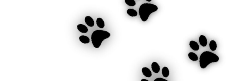 binjin banner