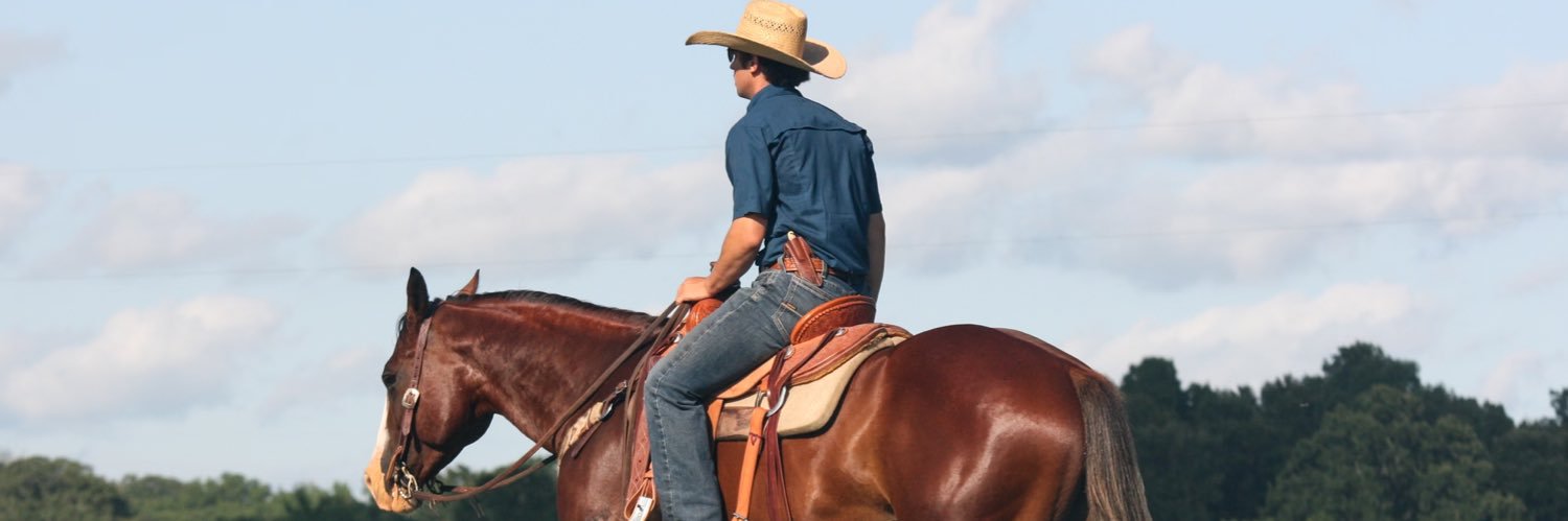 Sean Raucher banner