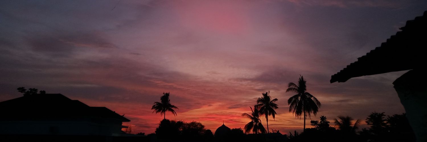 haiiiniwill's profile banner image