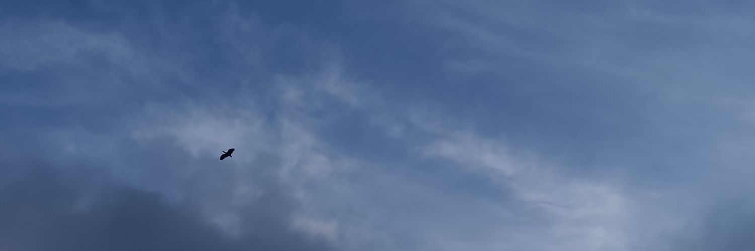 MozuDaniela's profile banner image